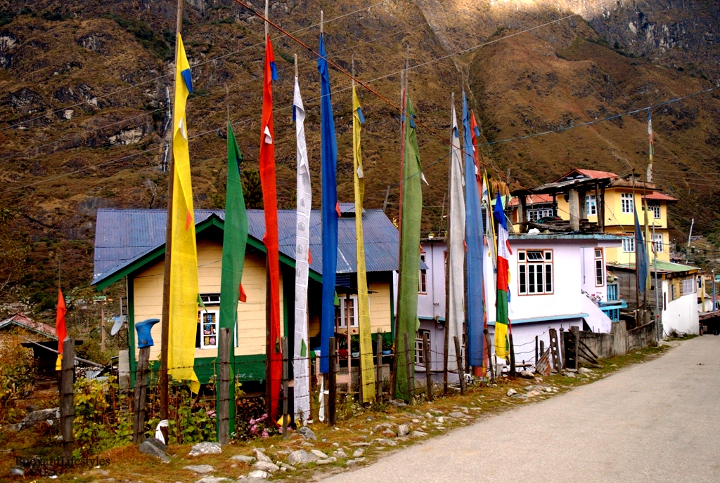 The village houses @Lachung