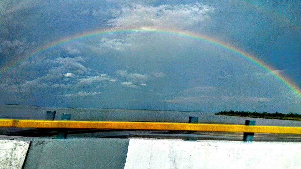 The Longest Bridge in India