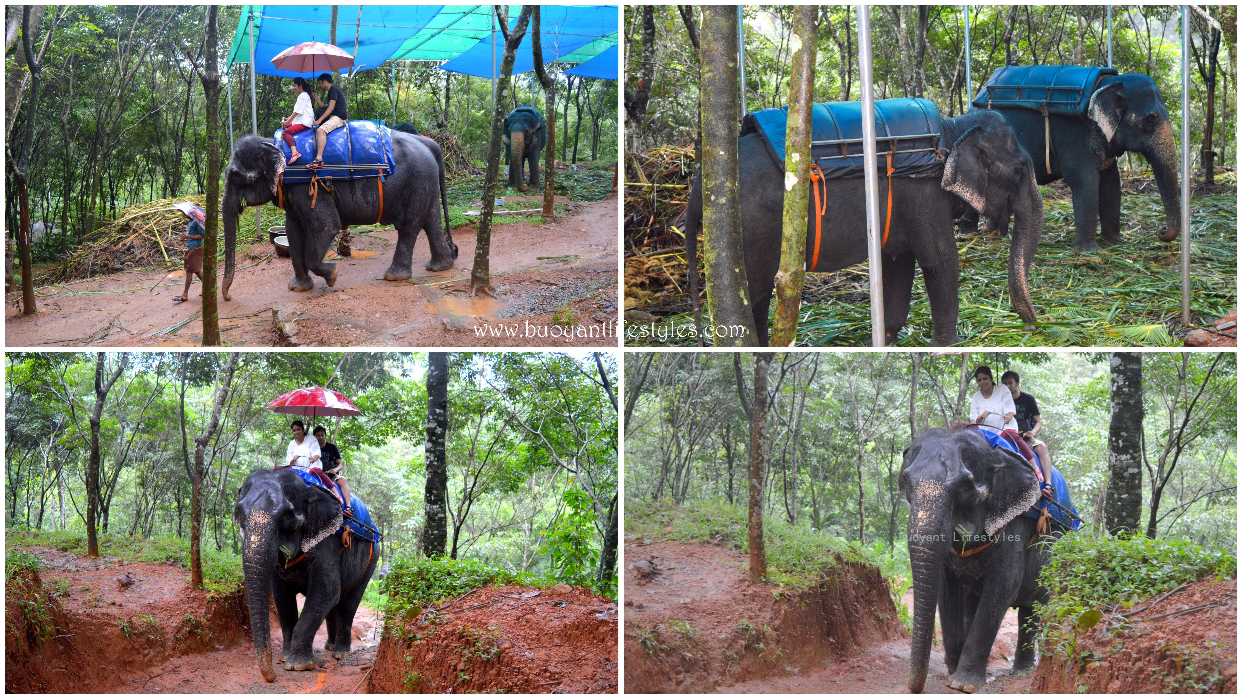 #kerela #elephantride #southindia 