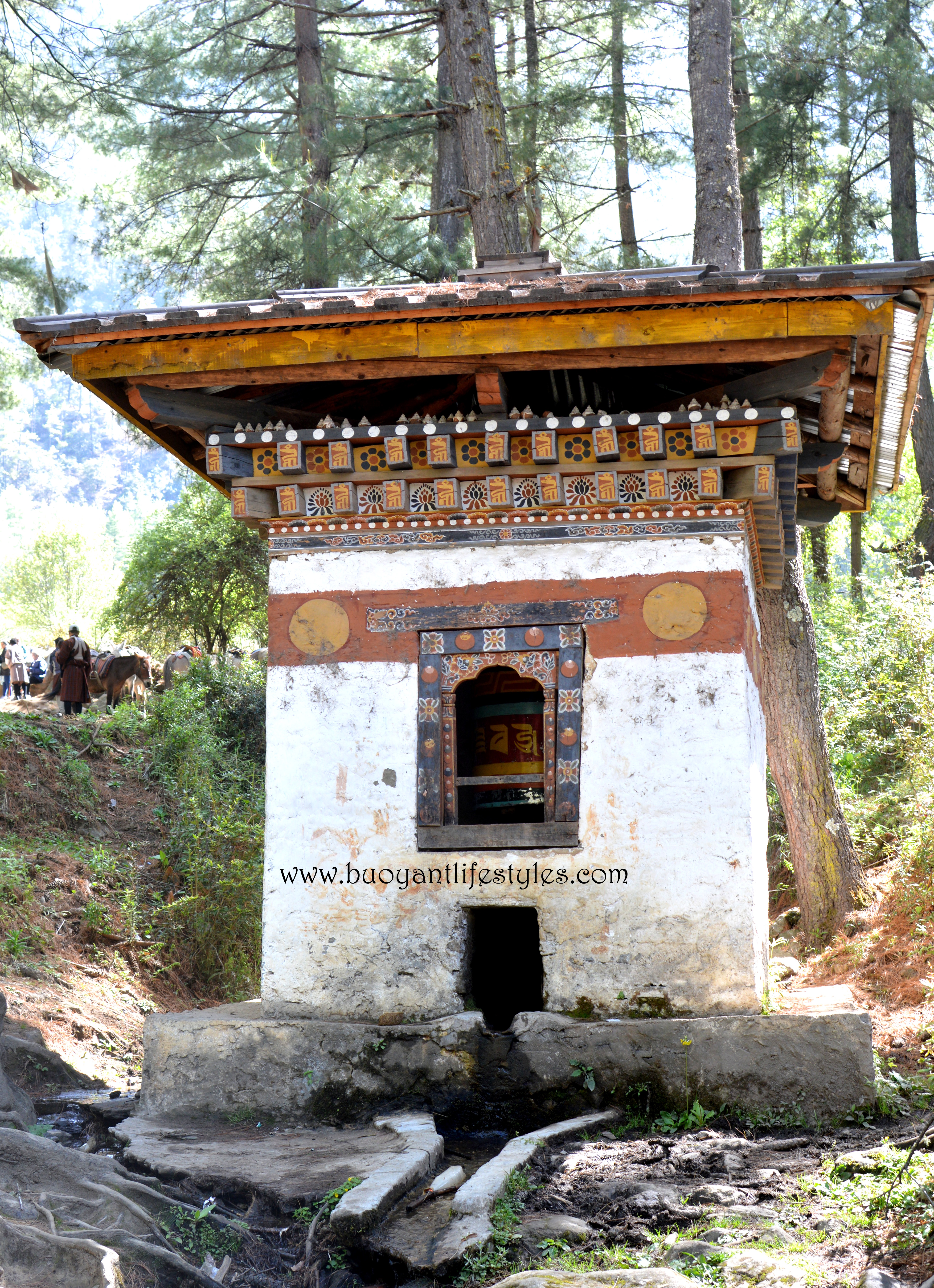 #Bhutan #travelblogger #thimpu #itinerary