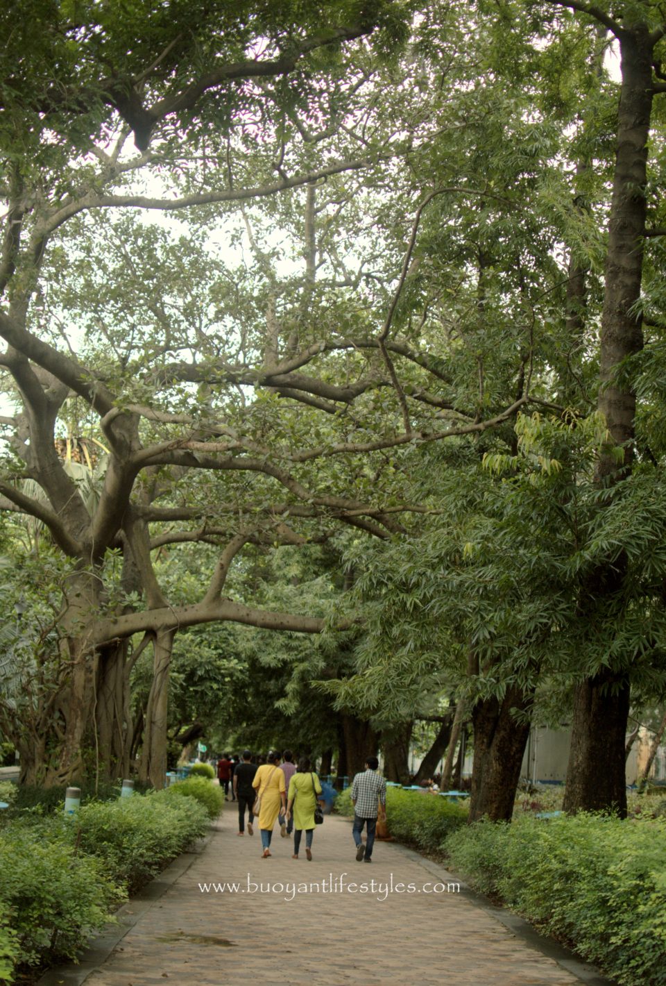 An evening by the Princep Ghat in Kolkata + what to see in Kolkata + how to visit Prinsep Ghat #Kolkaat #prinsepghat #westbengal + places to see in Kolkata 