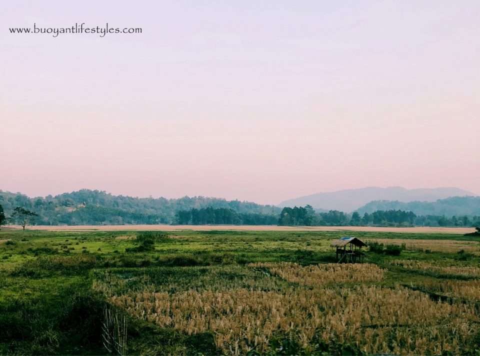 #ukiam #picnicspotnearguwahati +ukiam + picnic spot near guwahati + awesome assam