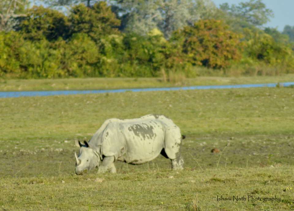 Assam Itinerary + Assam Tourism #awesomeassam #assamitinerary