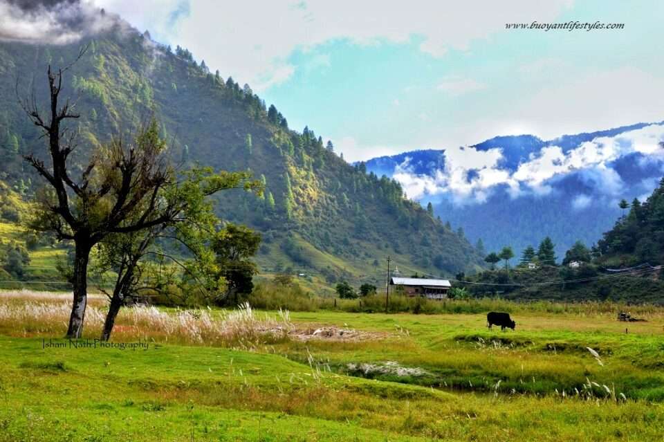 Sangti Valley in Arunachal Pradesh + Dirang + Bomdila #SangtiValley #ArunachalPradesh #Northeast #India