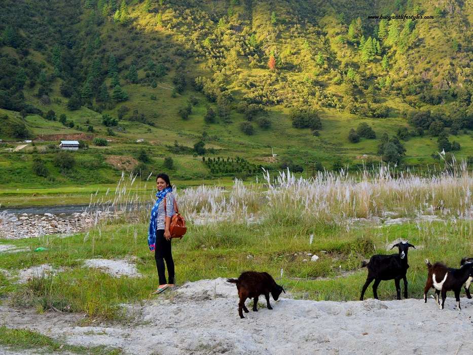 Sangti Valley in Arunachal Pradesh + Dirang + Bomdila #SangtiValley #ArunachalPradesh #Northeast #India