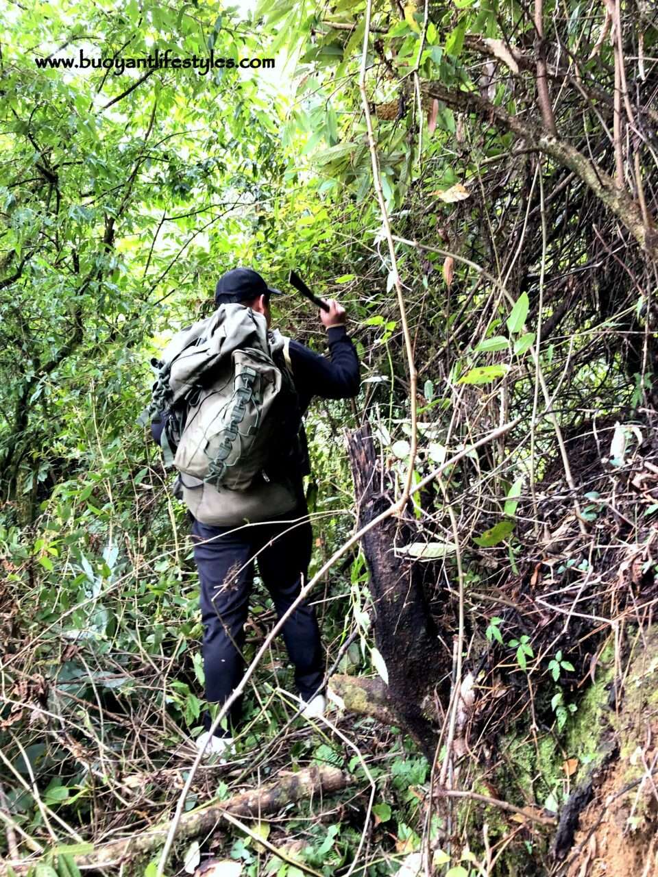 #dzukouvalleytrek #dzukouvalley #nagaland #india #northeastindia #northeast