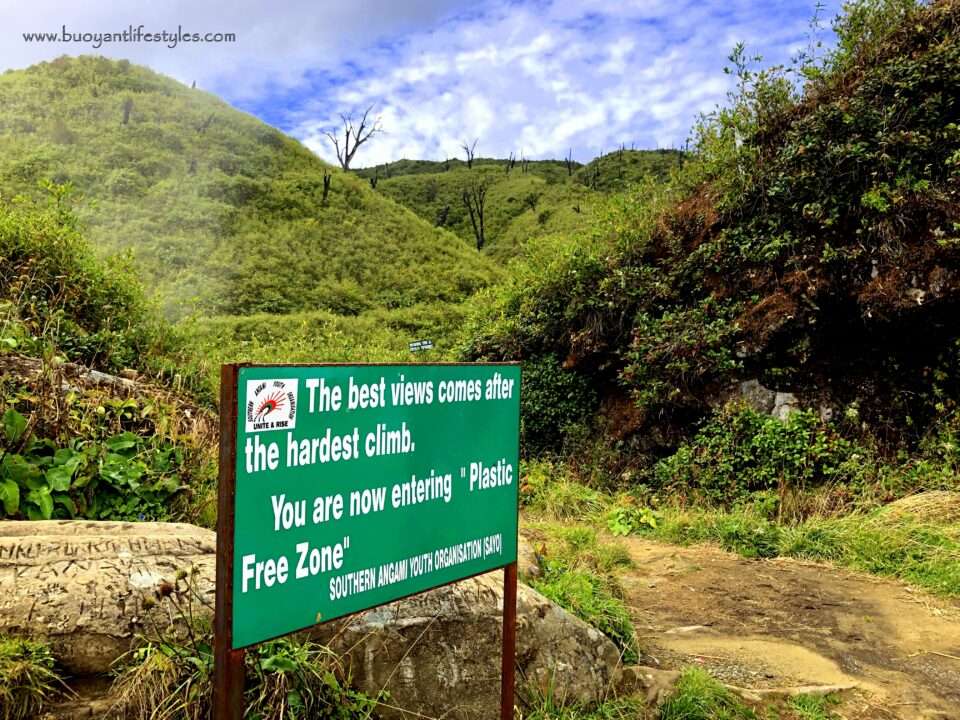 #dzukouvalleytrek #dzukouvalley #nagaland #india #northeastindia #northeast