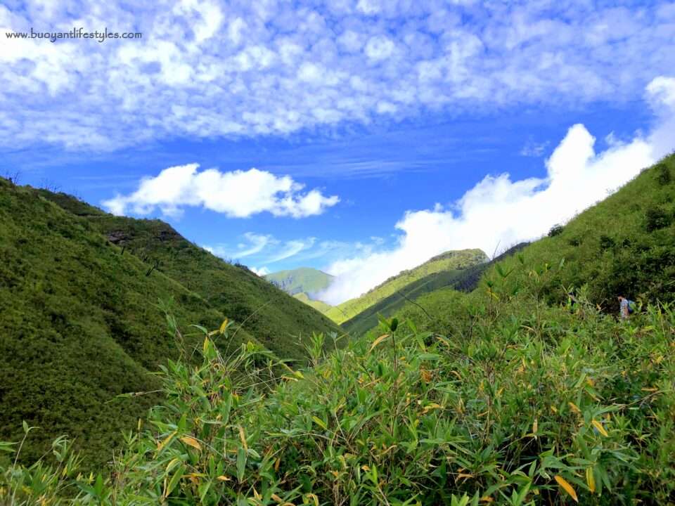 #dzukouvalleytrek #dzukouvalley #nagaland #india #northeastindia #northeast