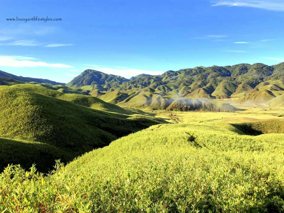 #dzukouvalleytrek #dzukouvalley #nagaland #india #northeastindia #northeast