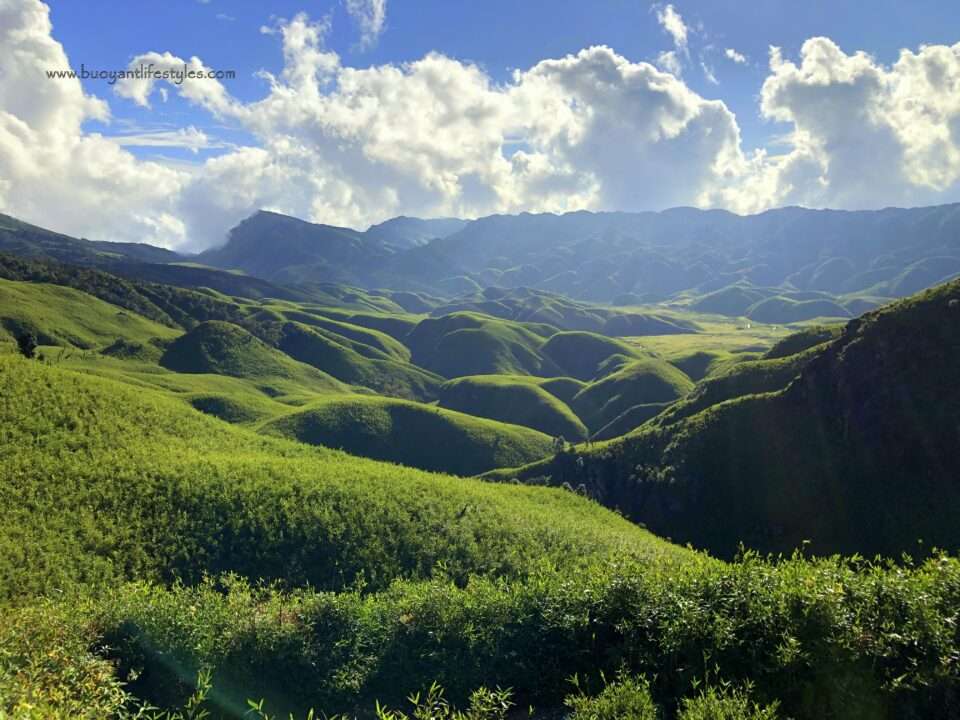 #dzukouvalleytrek #dzukouvalley #nagaland #india #northeastindia #northeast