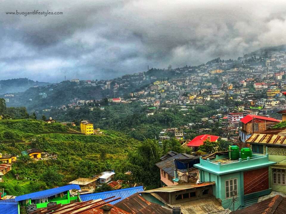 #dzukouvalleytrek #dzukouvalley #nagaland #india #northeastindia #northeast