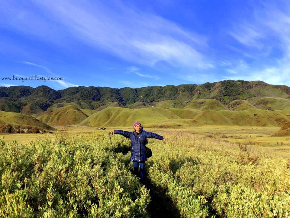 #dzukouvalleytrek #dzukouvalley #nagaland #india #northeastindia #northeast