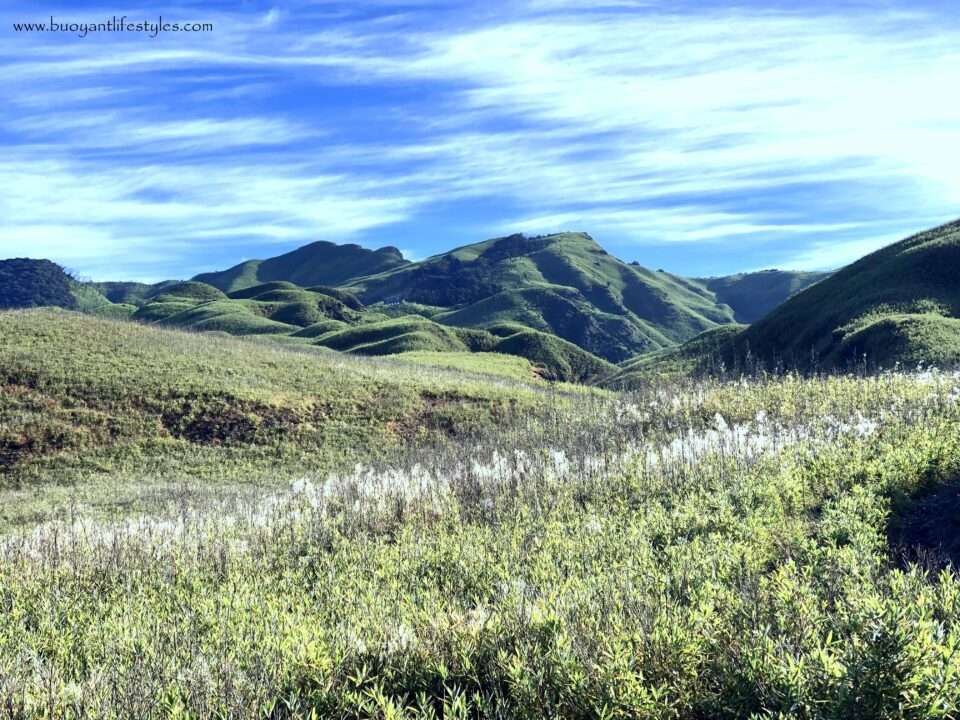 #dzukouvalleytrek #dzukouvalley #nagaland #india #northeastindia #northeast