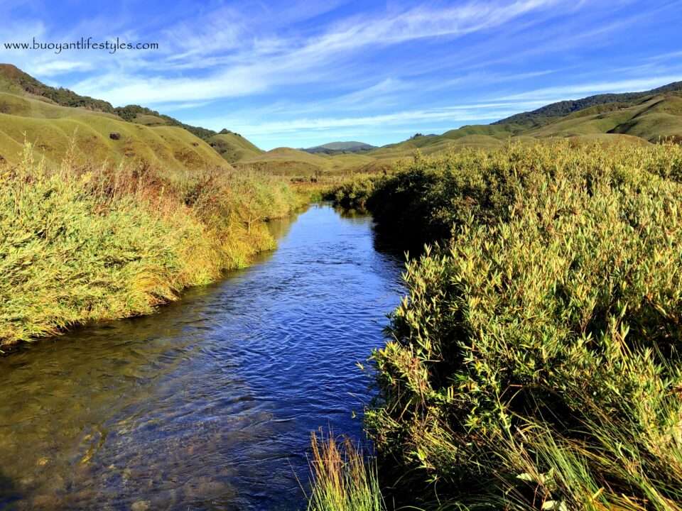 #dzukouvalleytrek #dzukouvalley #nagaland #india #northeastindia #northeast