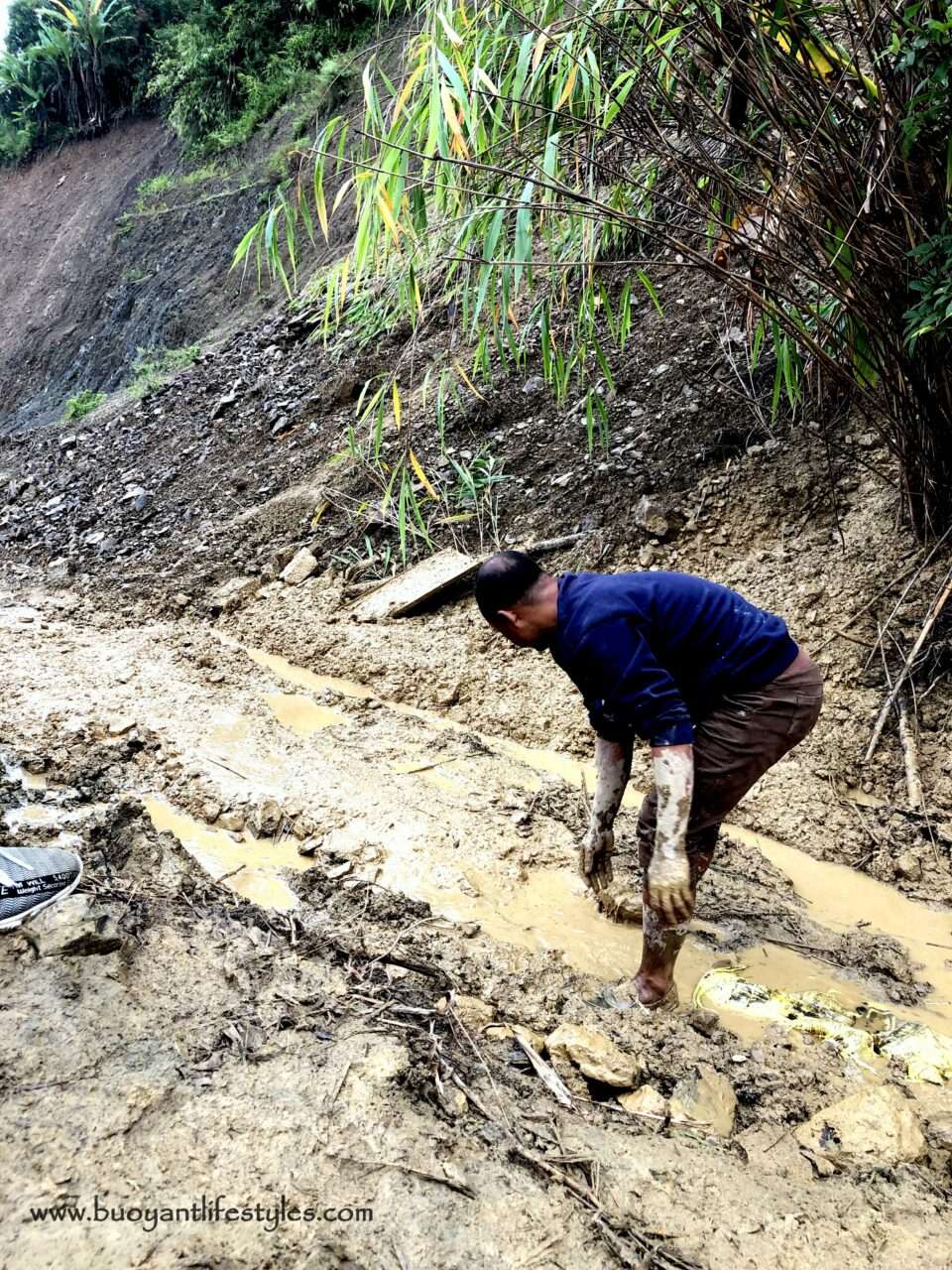 #dzukouvalleytrek #dzukouvalley #nagaland #india #northeastindia #northeast