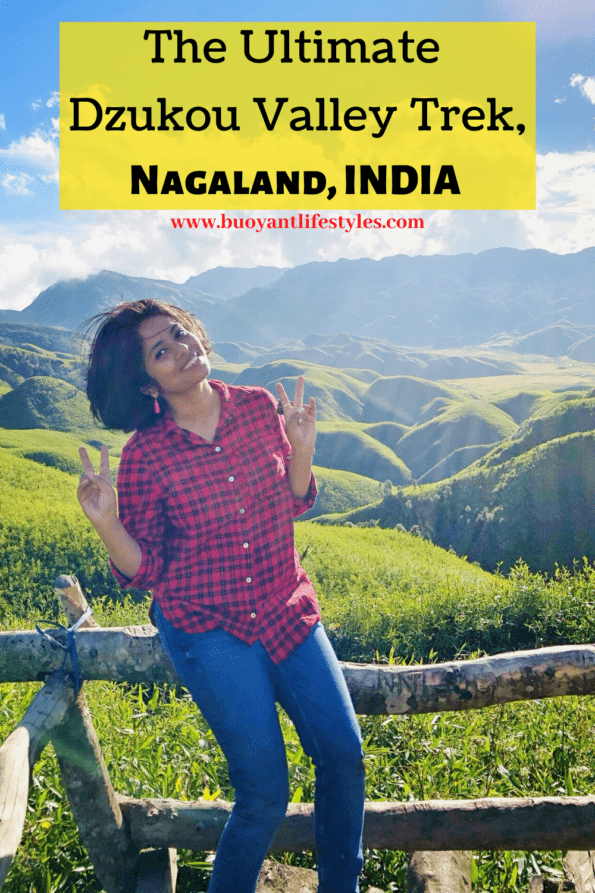 #dzukouvalleytrek #dzukouvalley #nagaland #india #northeastindia #northeast