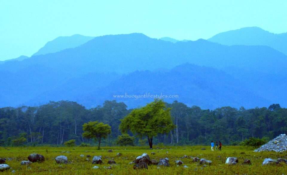 #saralpara #picnicspot #assam #kokrajhar #saralparapicnicspot #saralparainkokrajhar