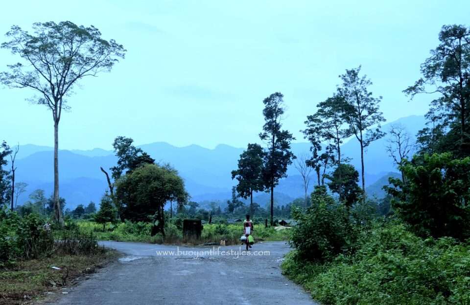 #saralpara #picnicspot #assam #kokrajhar #saralparapicnicspot #saralparainkokrajhar