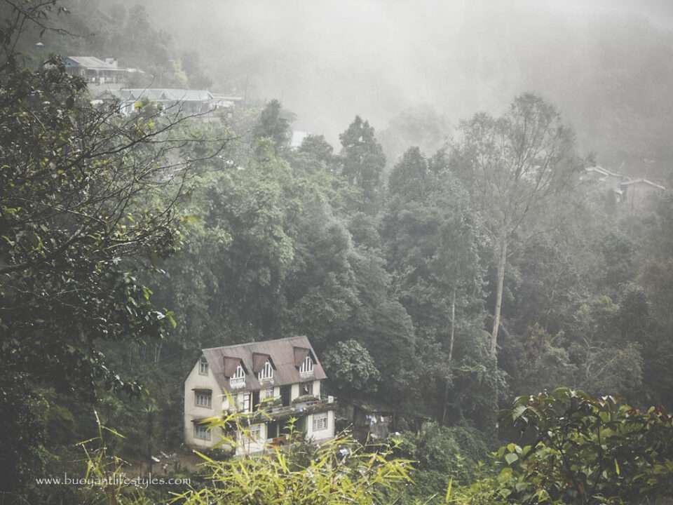 #darjeelingtouristplaces#darjeeling#japanesetemple#peacepagoda#northbengaltourism + tourist places in darjeeling + darjeeling tourism