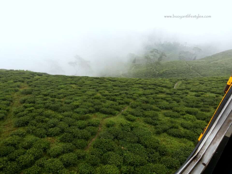 #darjeelingtouristplaces#darjeeling#japanesetemple#peacepagoda#northbengaltourism + tourist places in darjeeling + darjeeling tourism