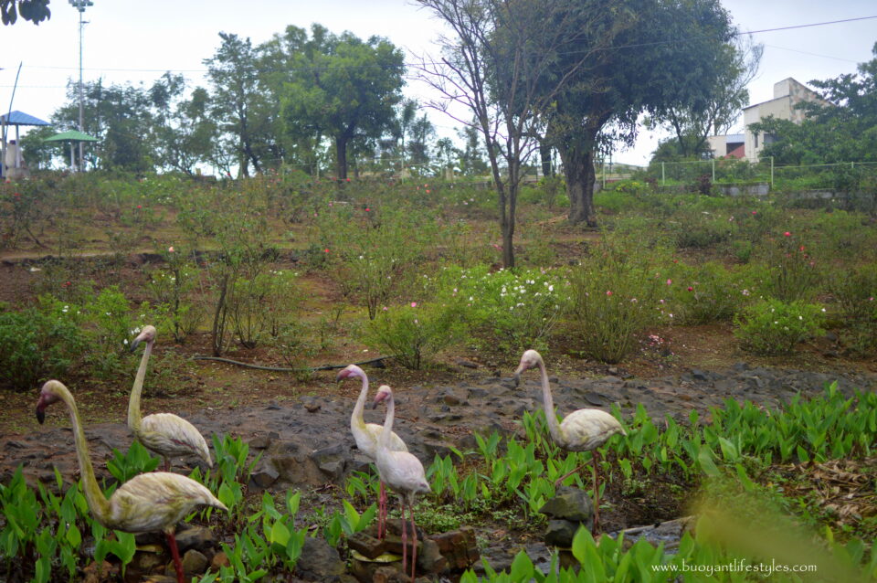 #saputaraingujarat #gujarat +saputara in gujarat + hill station in gujarat #hillstationingujarat #saputara #placestovisitinsaputara