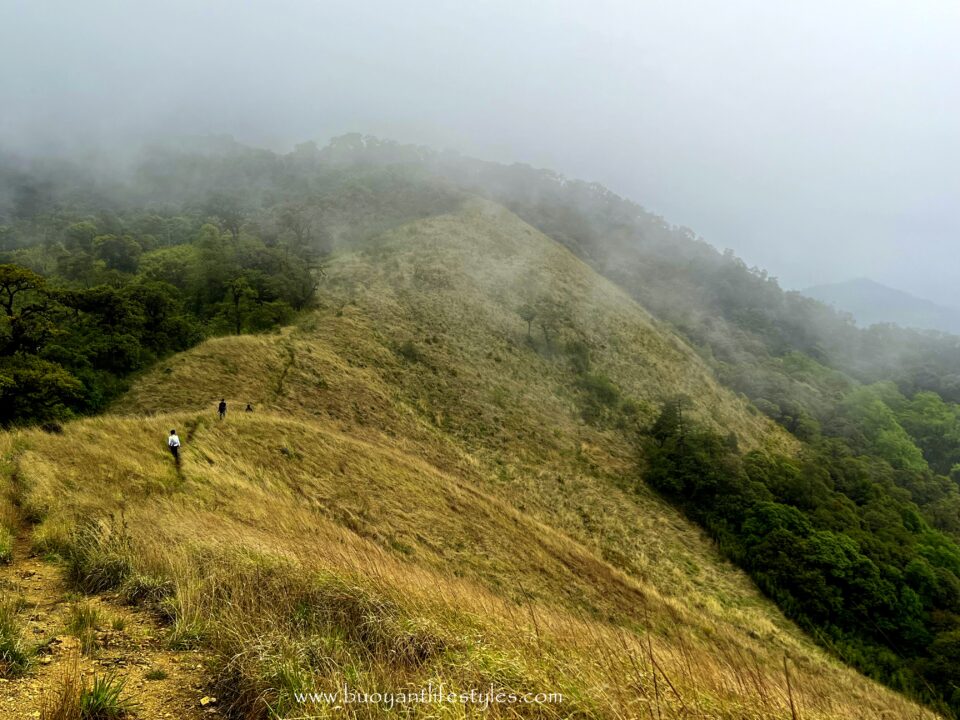 #pinforlater #shiruipeak #shirulily #shiruikashong #ukhrul #manipur + shirui peak trekking