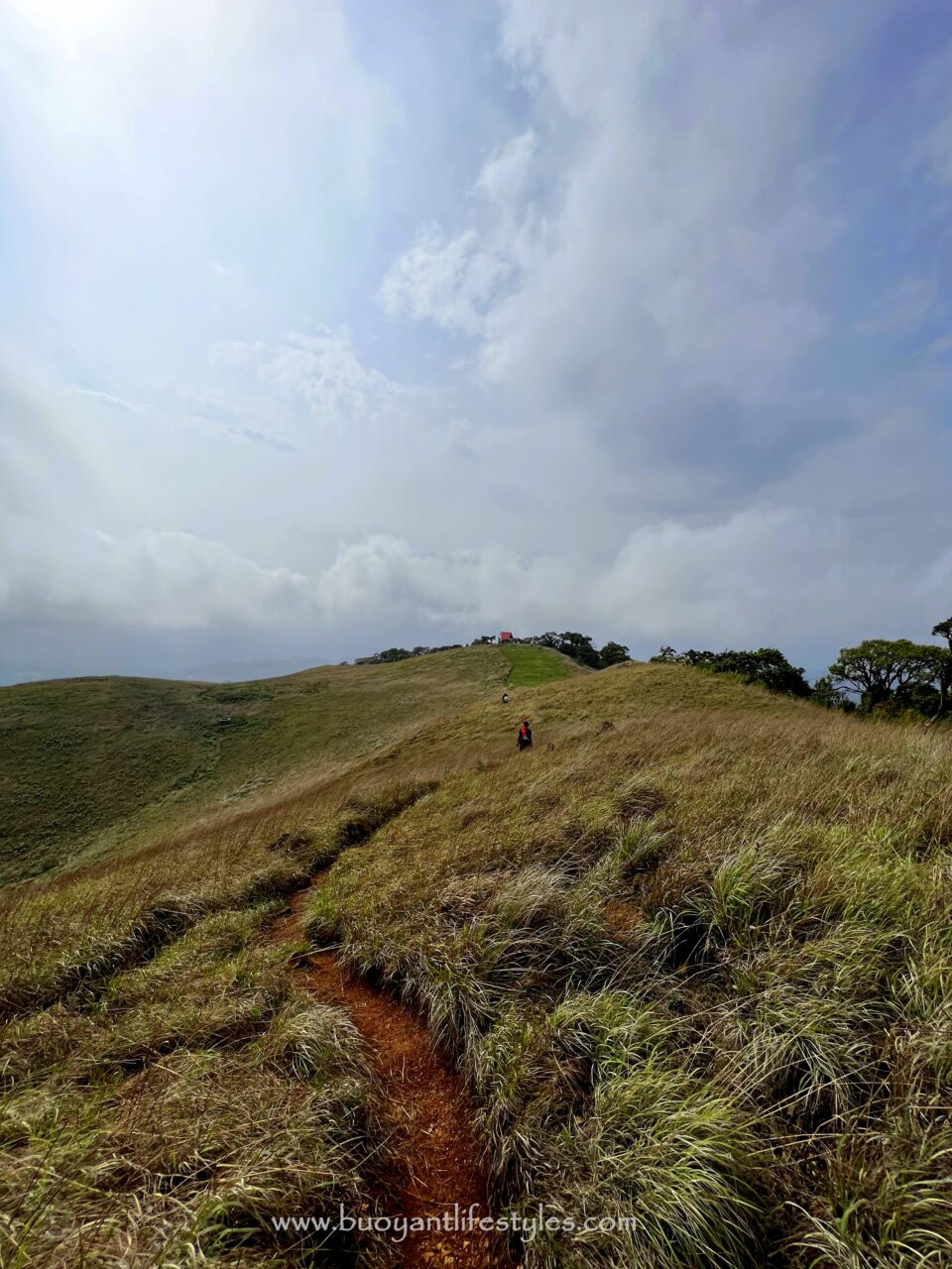 #pinforlater #shiruipeak #shirulily #shiruikashong #ukhrul #manipur + shirui peak trekking