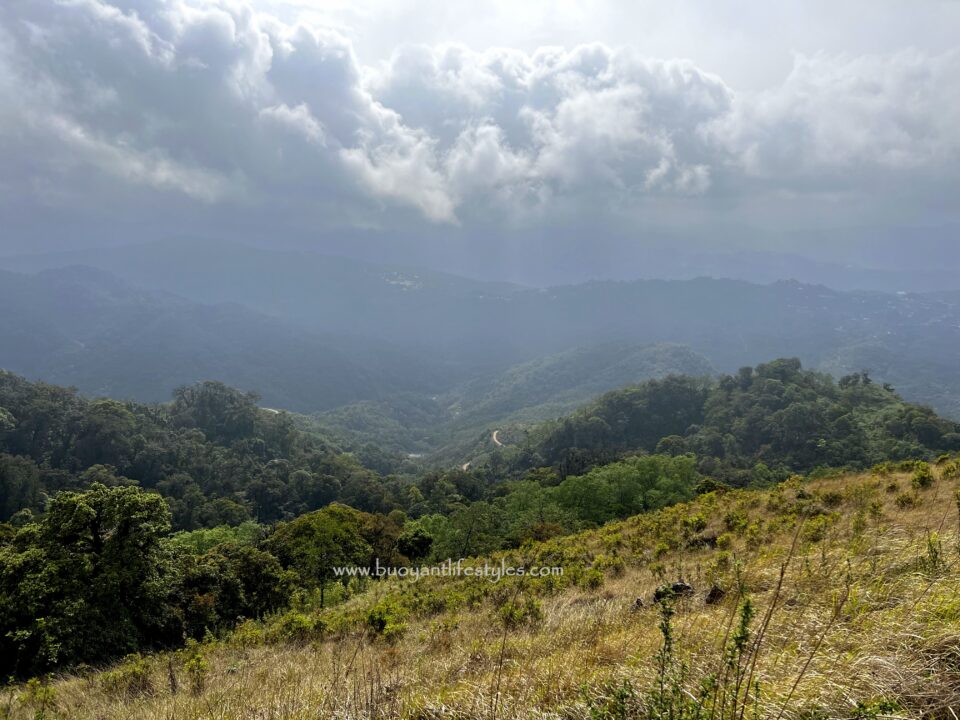 #pinforlater #shiruipeak #shirulily #shiruikashong #ukhrul #manipur + shirui peak trekking