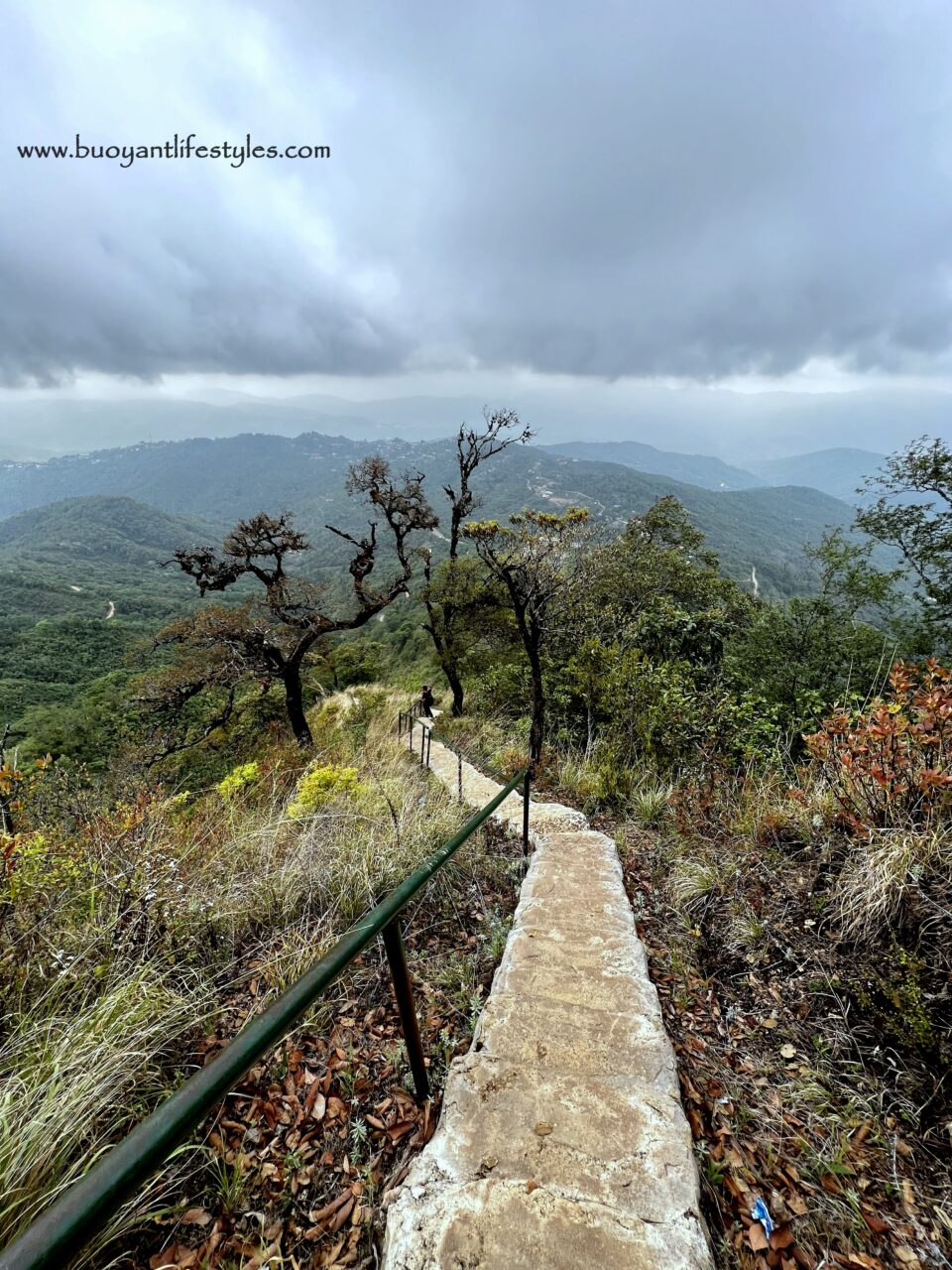 #pinforlater #shiruipeak #shirulily #shiruikashong #ukhrul #manipur + shirui peak trekking