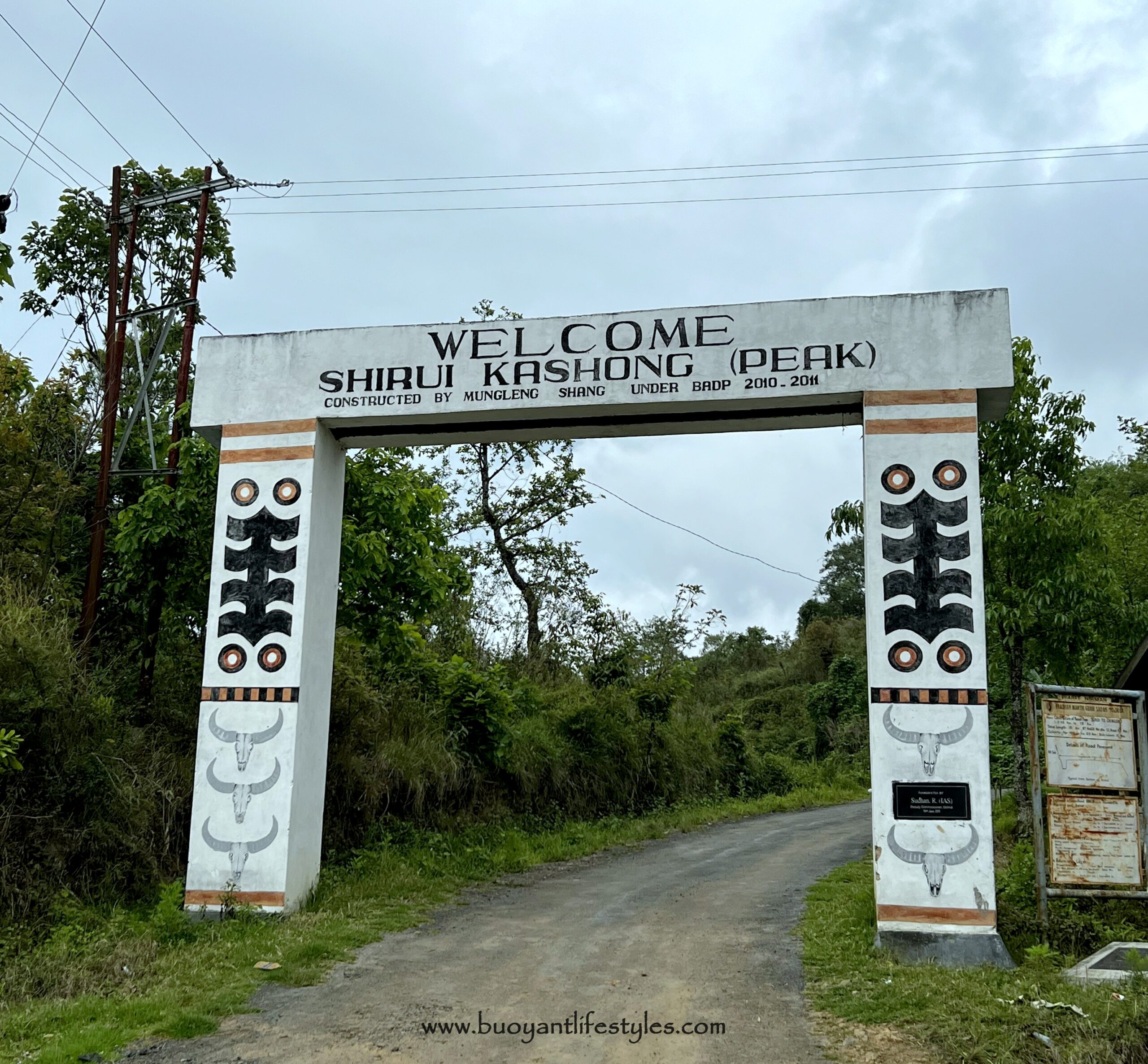 A Complete guide to Khonoma Village in Nagaland