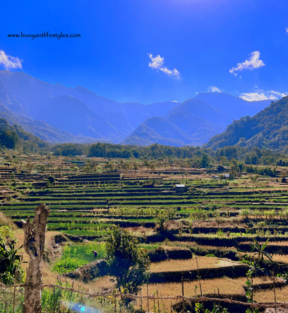 khonomatravelguide + khonoma + Nagaland #khonoma #khonomaguide #khonomatravel