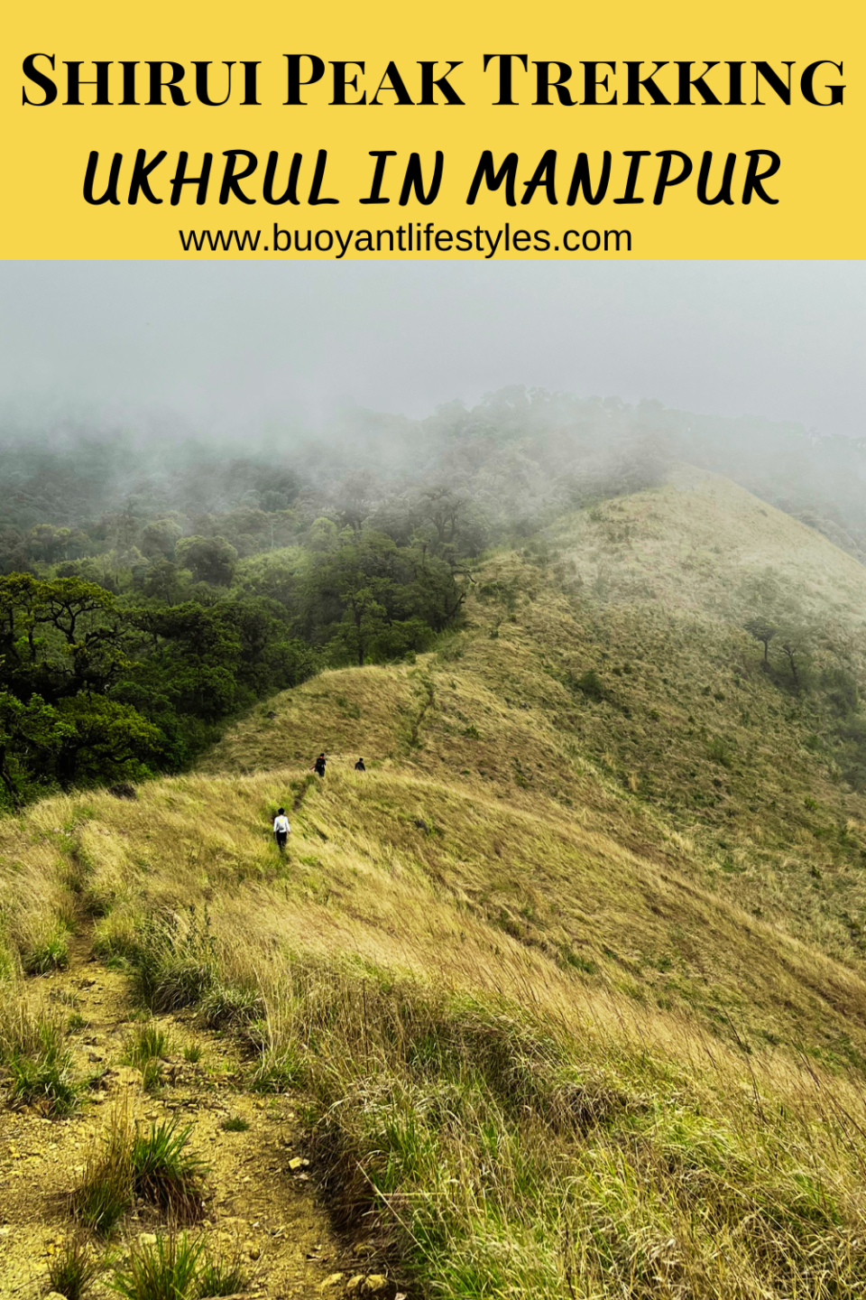 #pinforlater #shiruipeak #shirulily #shiruikashong #ukhrul #manipur + shirui peak trekking