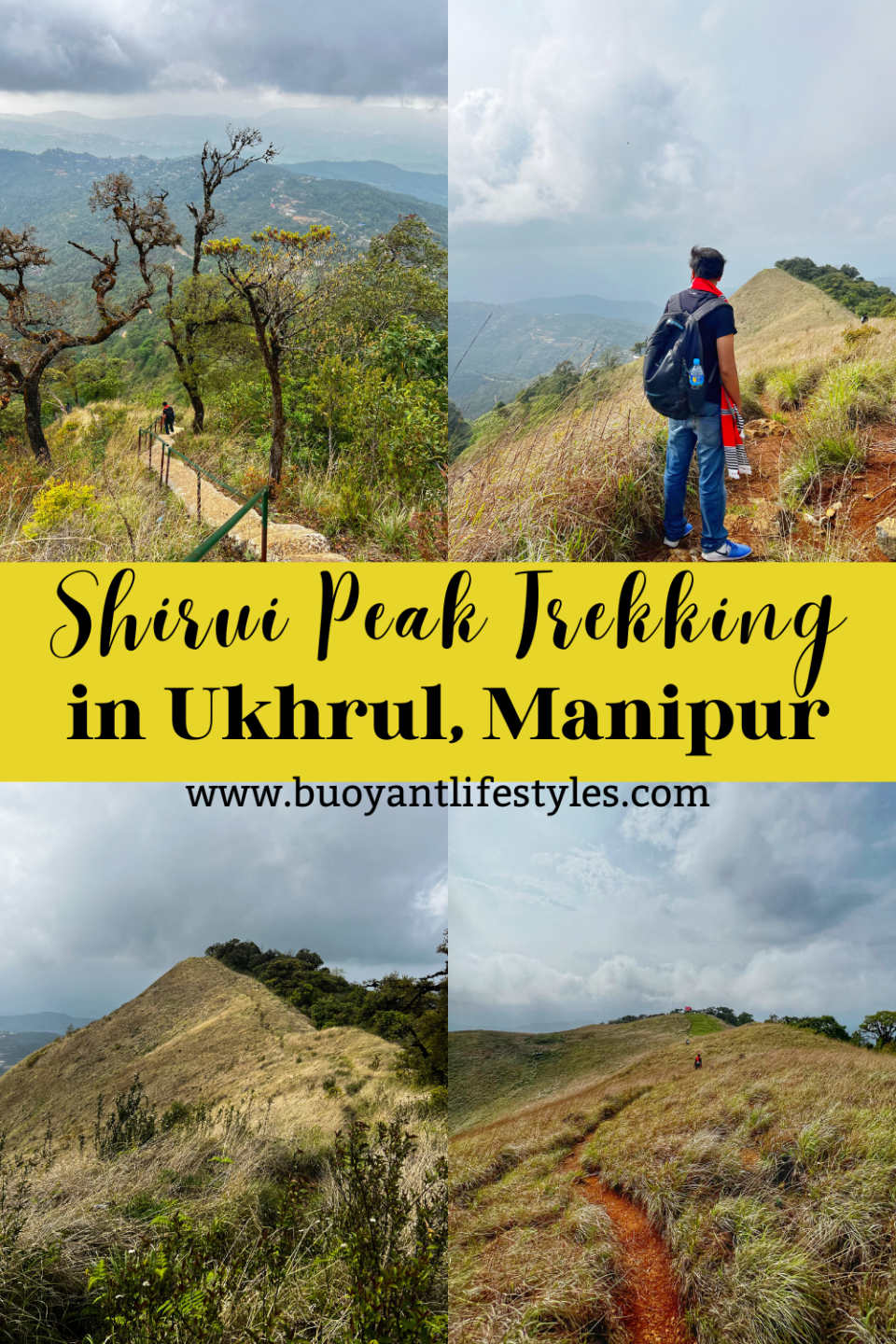 #pinforlater #shiruipeak #shirulily #shiruikashong #ukhrul #manipur + shirui peak trekking